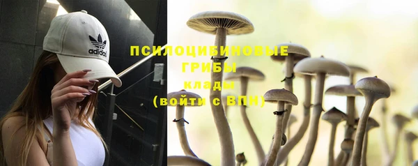 Альфа ПВП Белокуриха