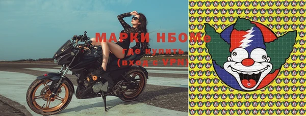 Альфа ПВП Белокуриха