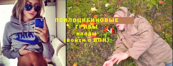 Альфа ПВП Белокуриха