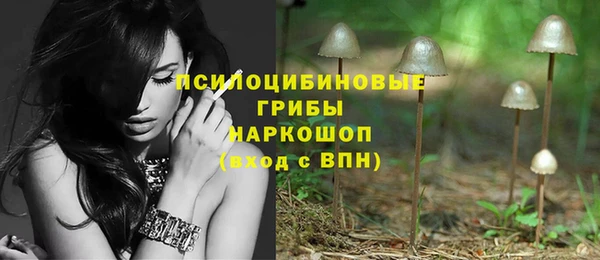 Альфа ПВП Белокуриха