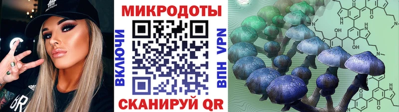 Псилоцибиновые грибы Magic Shrooms  Болохово 